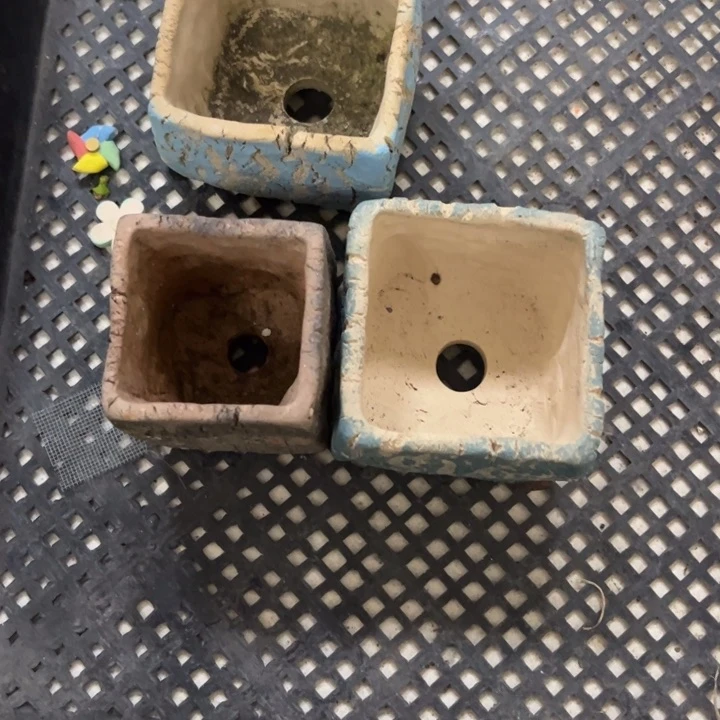 红陶v***笑钱我给你打过去了的啊