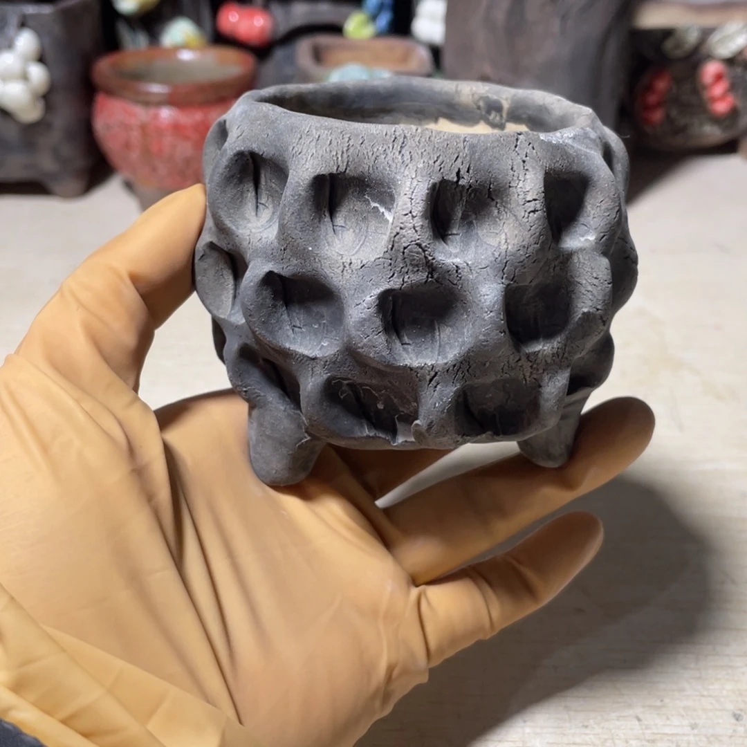 内口6左右的小盆土