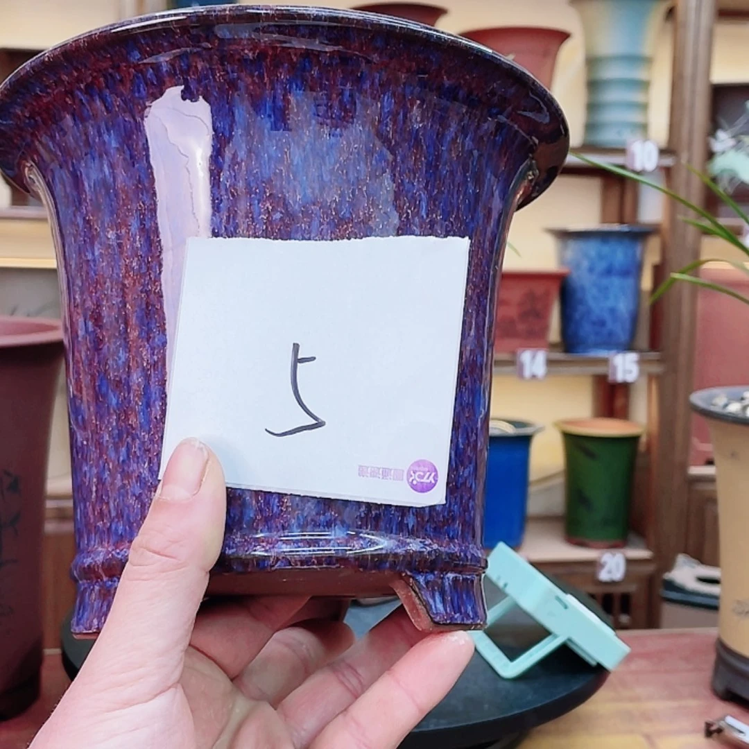 【闪购商品】紫砂花盆叶兰花455588556688558745