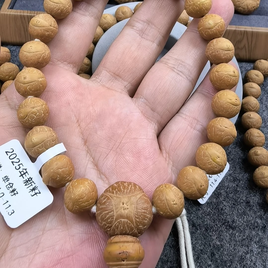 手串凤眼菩提11单仓铁籽