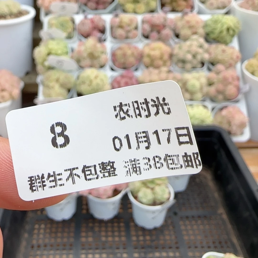 Y****3【闪购商品】0117-8（ht-24）