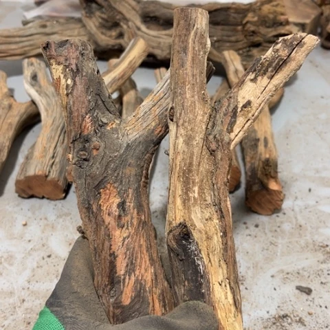 大果紫檀（缅甸花梨）8**9