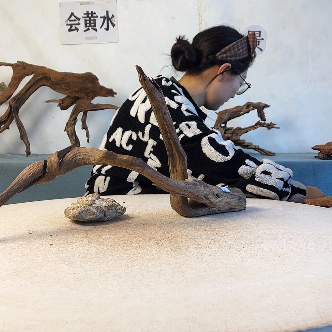 收*沉木造景爬宠造景