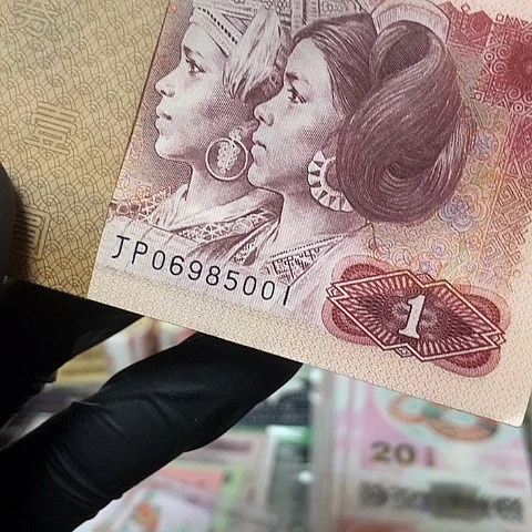 东****)百连801金马王06985001福利款