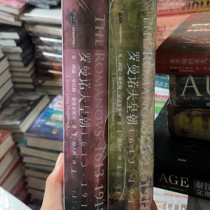 罗曼诺夫皇朝：微瑕