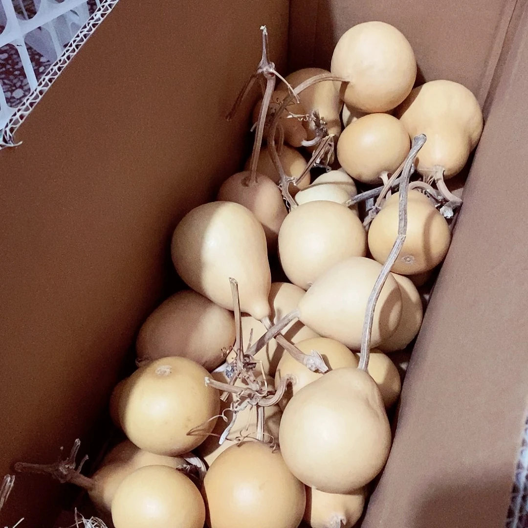 【闪购商品】d g b b h h h g