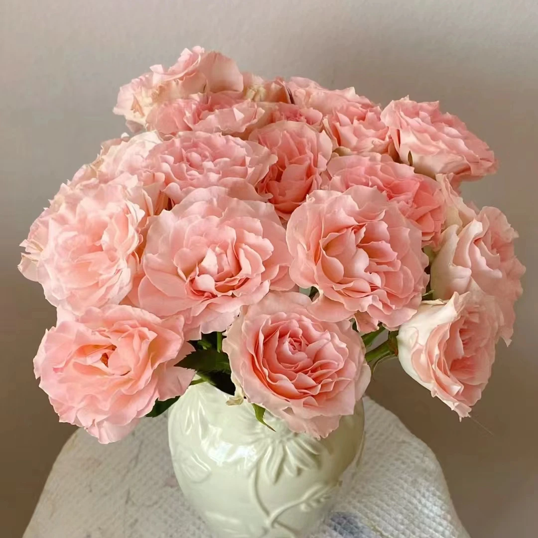 花花 单头人鱼公主玫瑰18支+2支防损 一单包邮两单升级快递