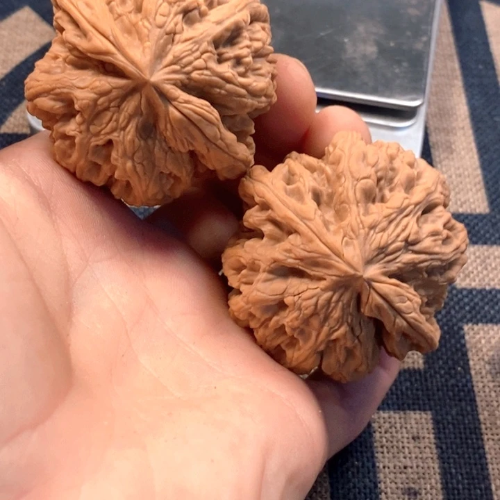 文玩核桃吊坠全品粗筋