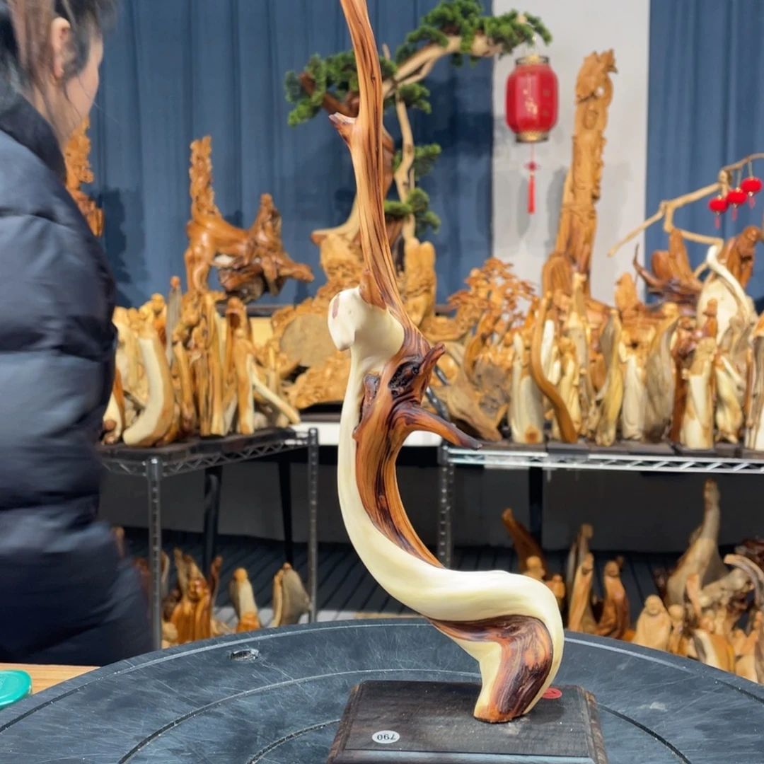 柏木（崖柏）随型飘枝