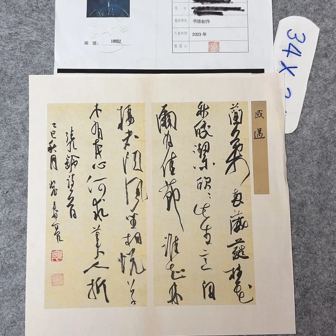 书法中书裴春亮34+34