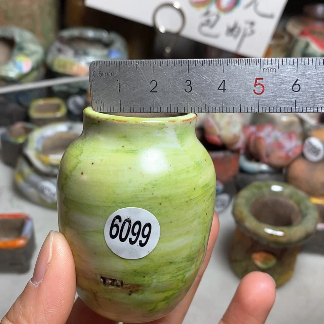 花盆拍5送一个小礼物