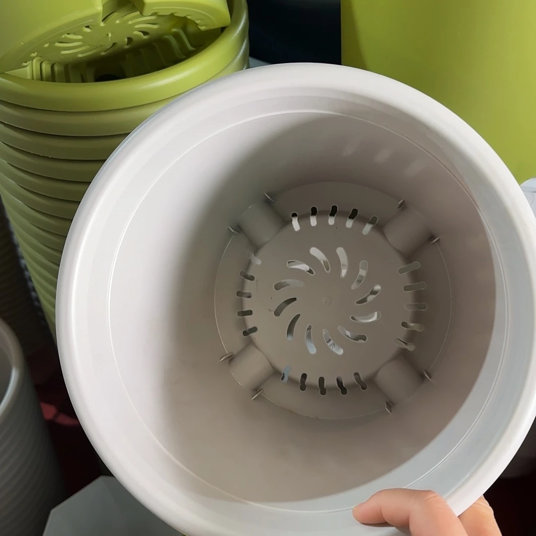 树脂四季4号无托8个灰白