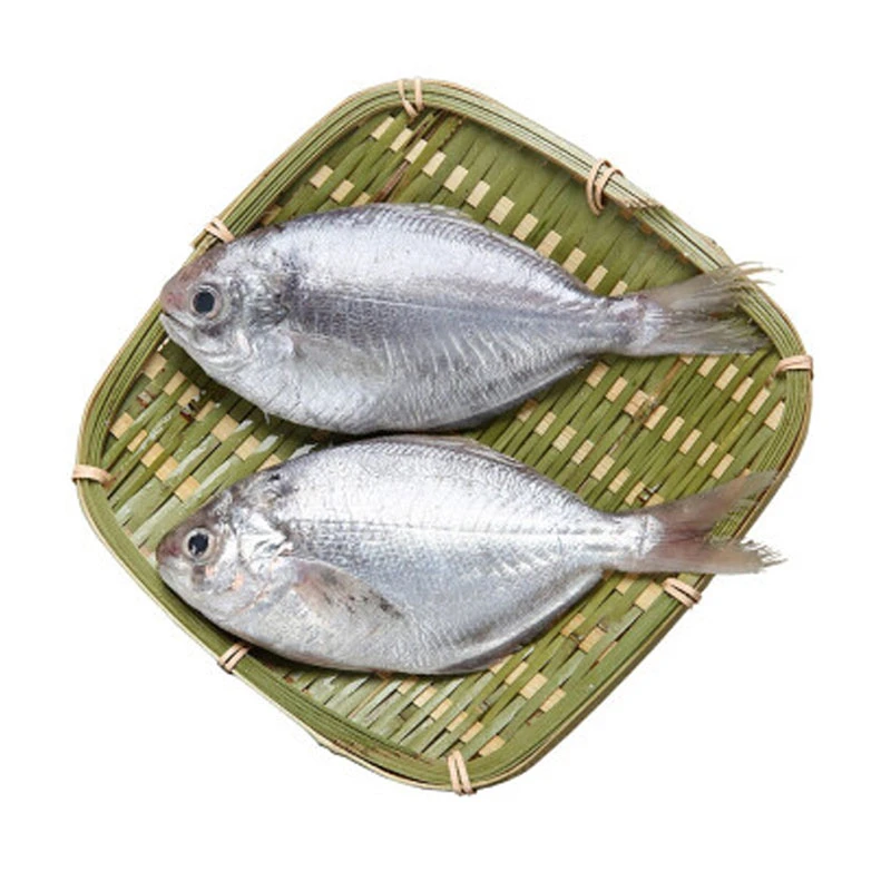 冰鲜肉鲳鱼250g