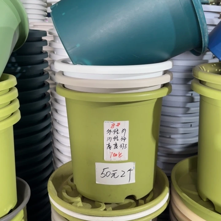四季8#口径40无托果绿3个