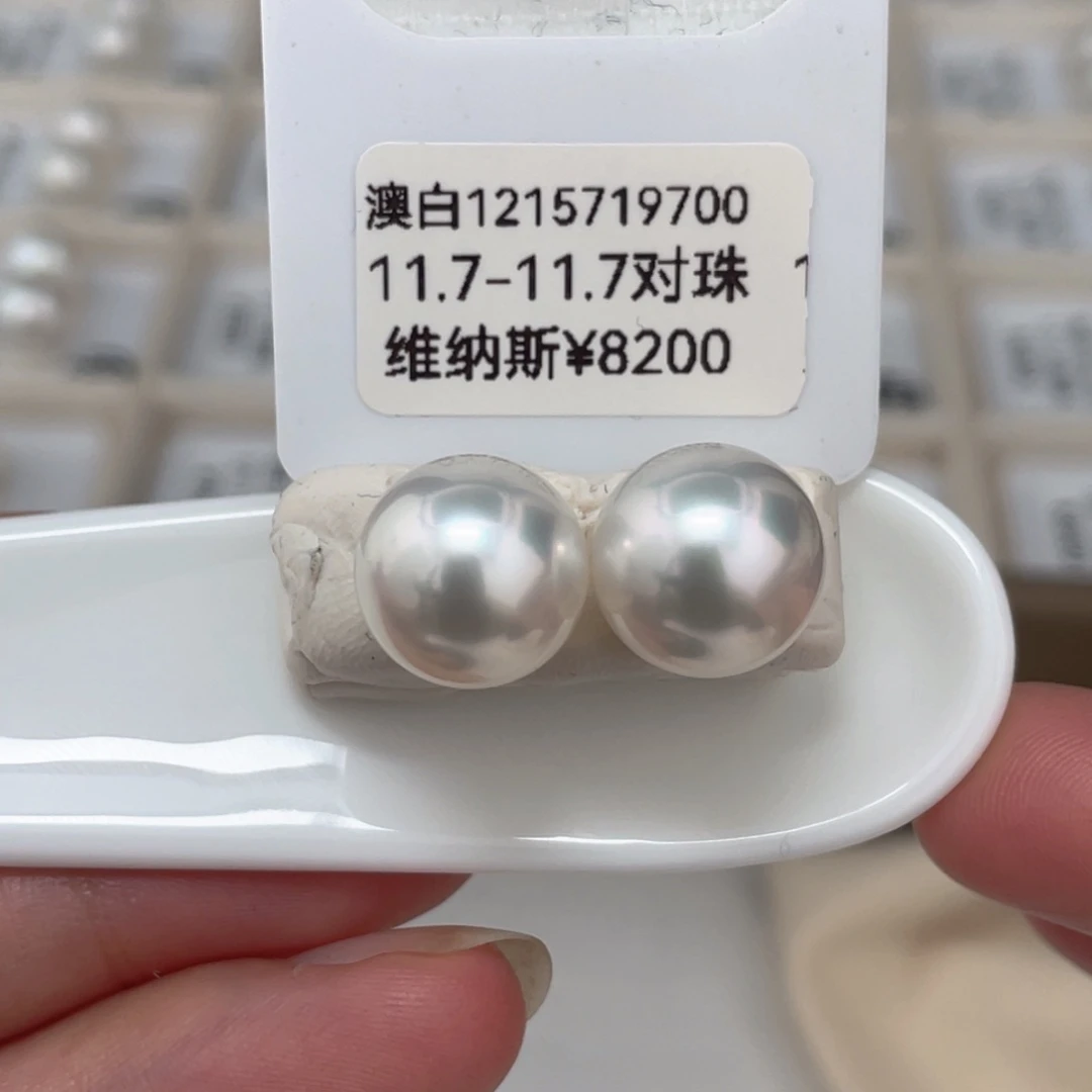 耳饰海水珍珠未镶嵌