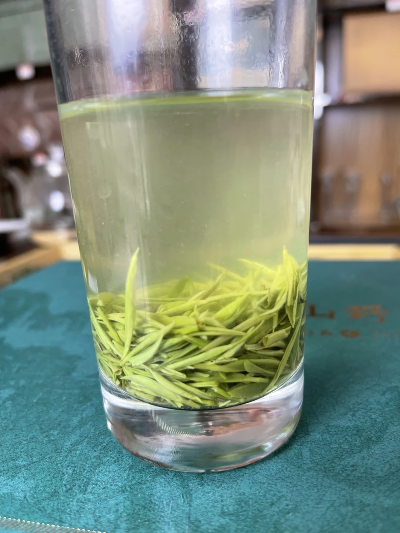 2025新茶开园头采米芽信阳毛尖绿茶春茶明前芽头