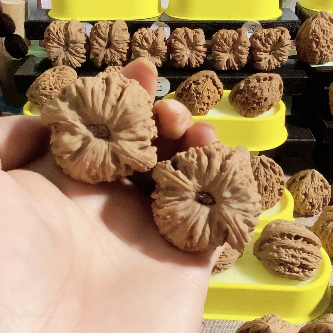 木质类今天是不是又要去