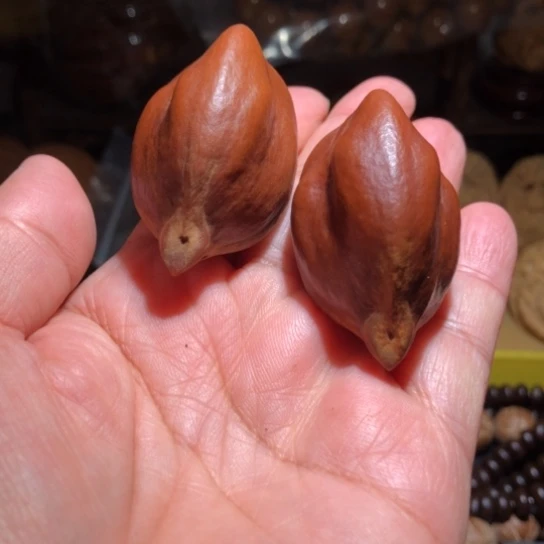 吊坠橄榄核异型楞骨橄榄