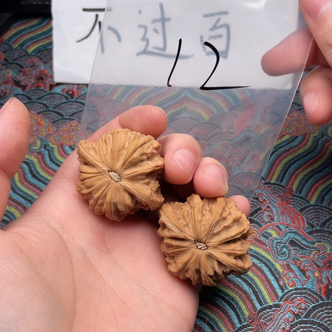 核桃哈哈哈哈哈哈哈哈哈哈哈