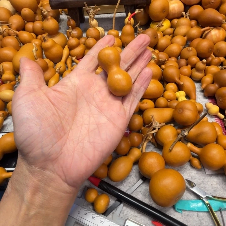 锦*慕节目的一把瓶子葫芦寂寞的