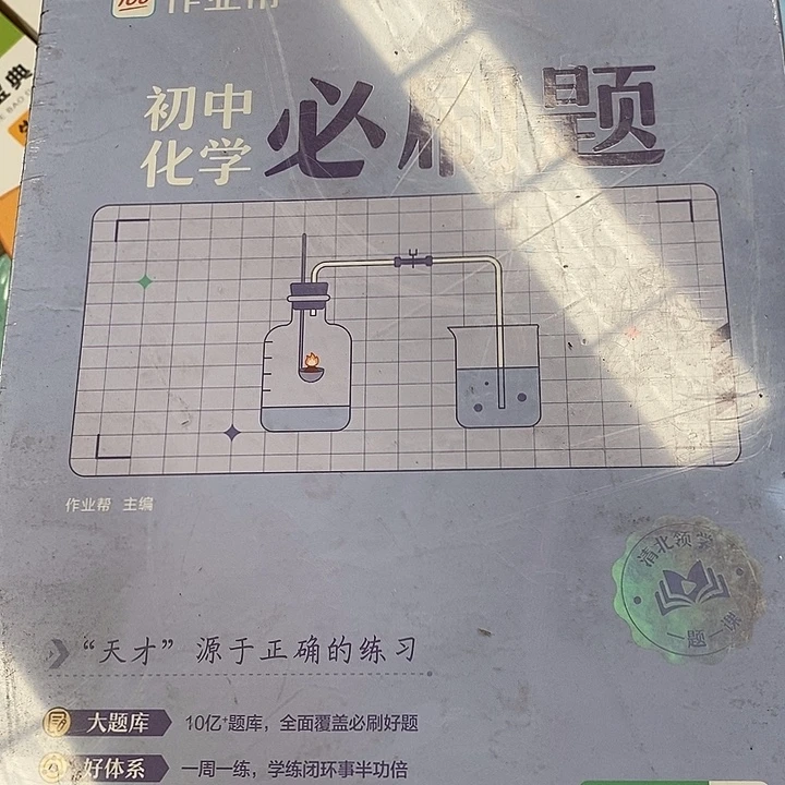九年级下初中化学必刷题