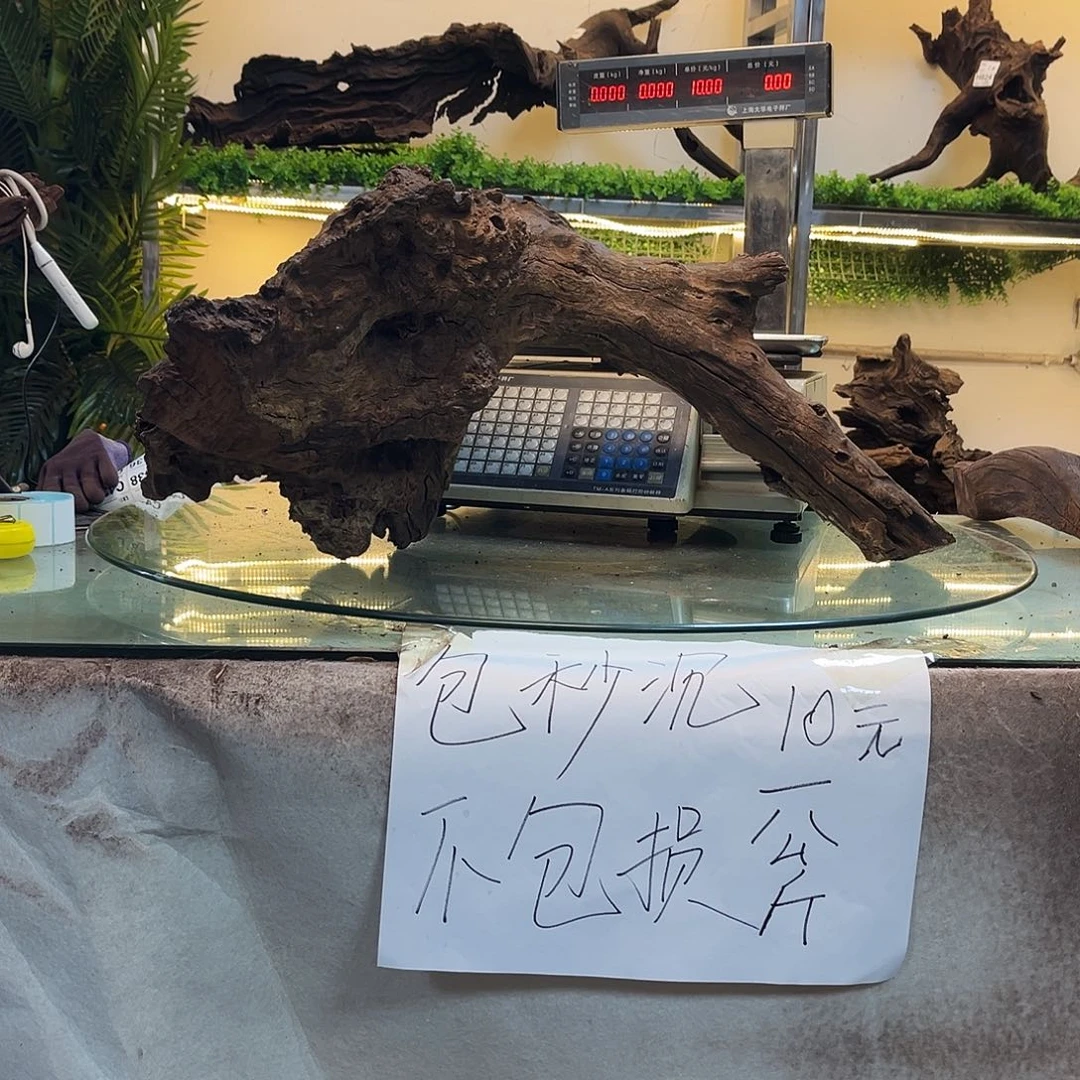 柚木玉***艺沉木鱼缸造景