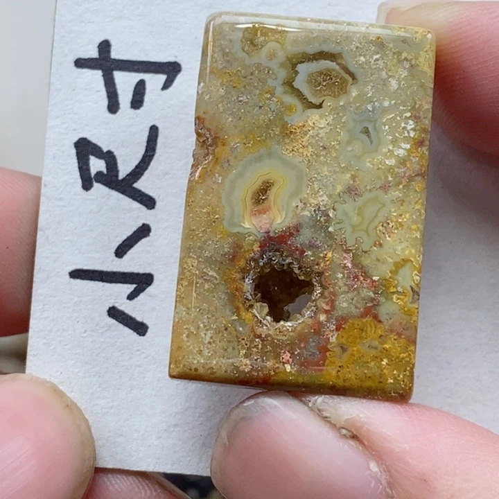 颈饰未镶嵌硅化珊瑚（珊瑚玉）