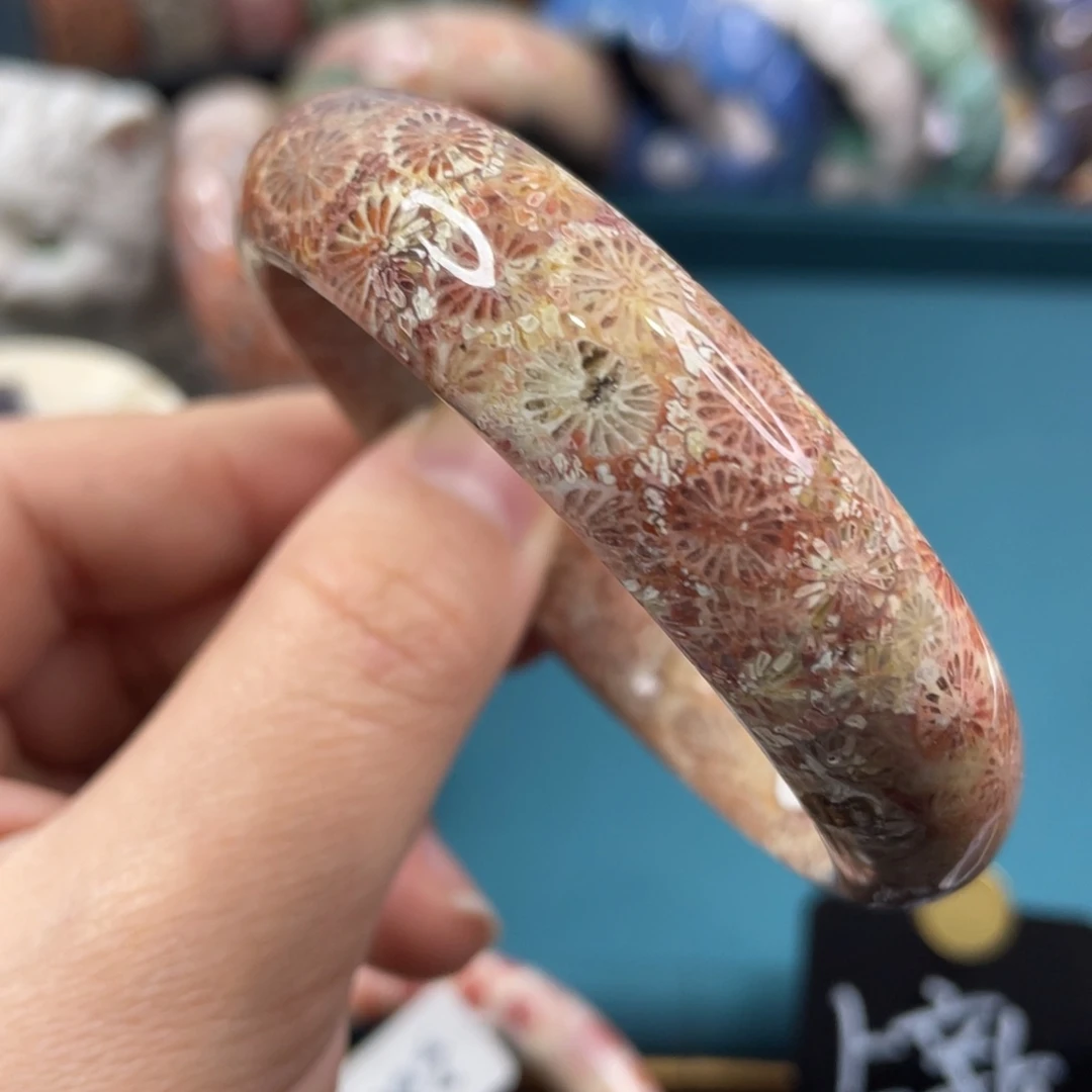 未镶嵌手镯硅化玉