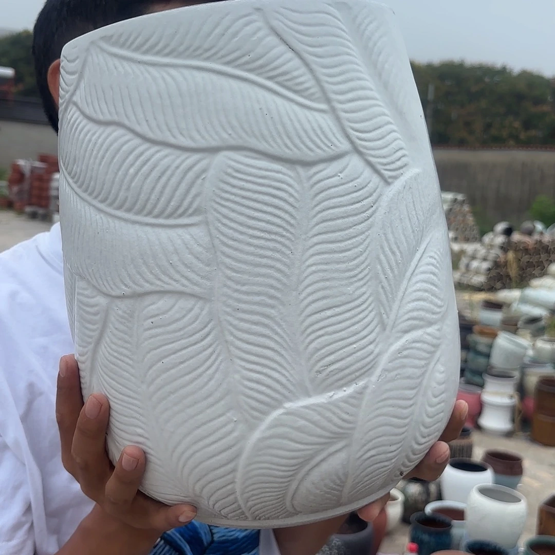 白芭蕉叶口径20高度31