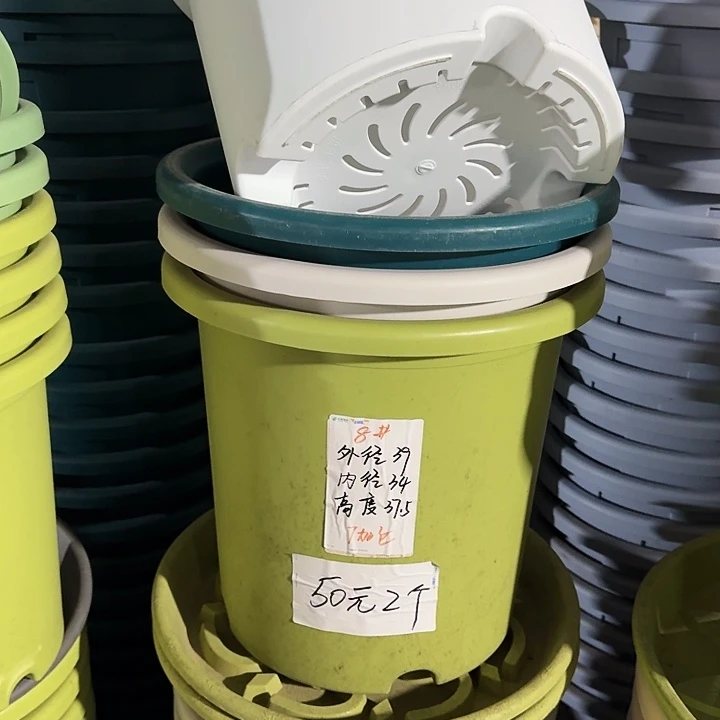 四季8#口径39无托果绿3个