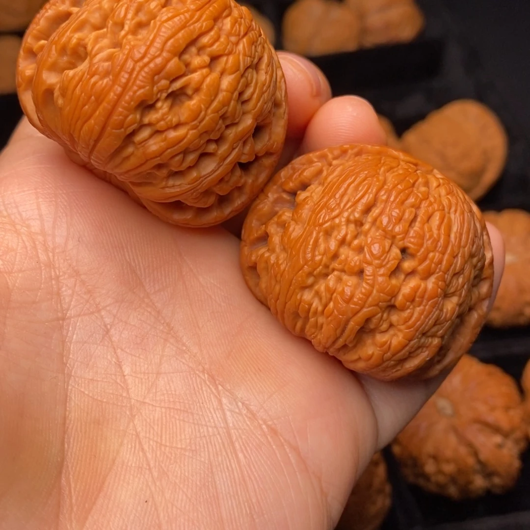秦岭野生文玩核桃