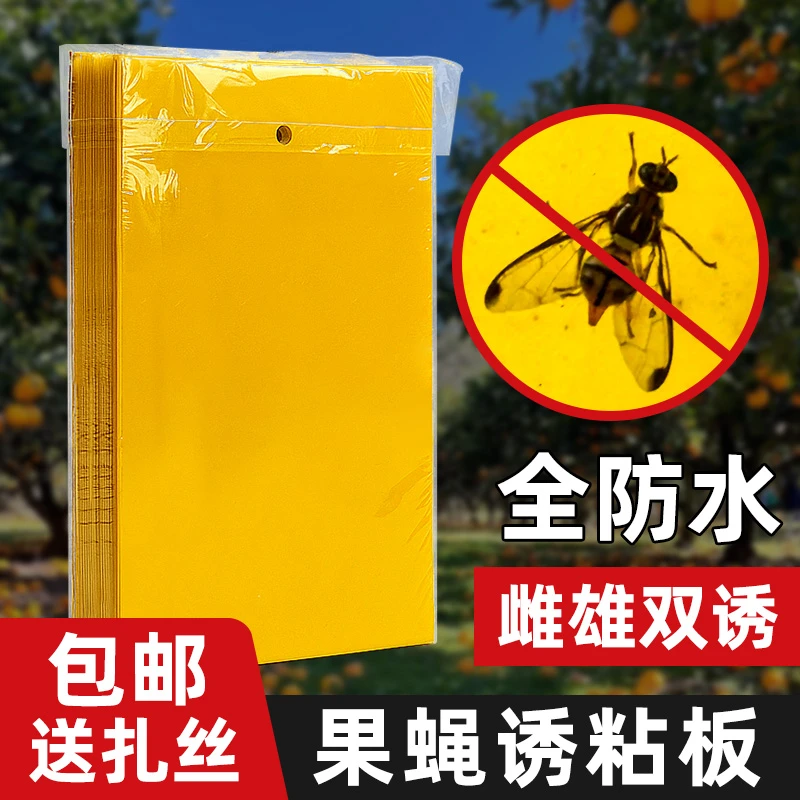 CPAI瓜果实蝇粘胶板苍蝇针蜂黄色诱粘板果树果实蝇诱捕器果园专用