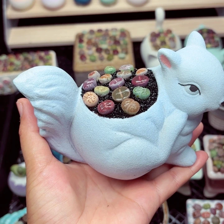 7006零下地区记得拍保温箱