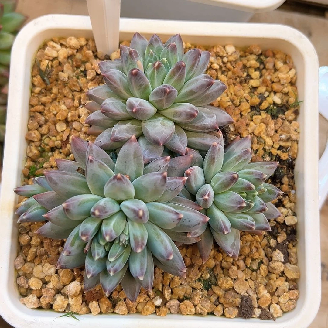 忘*15？vb b b nn b b n