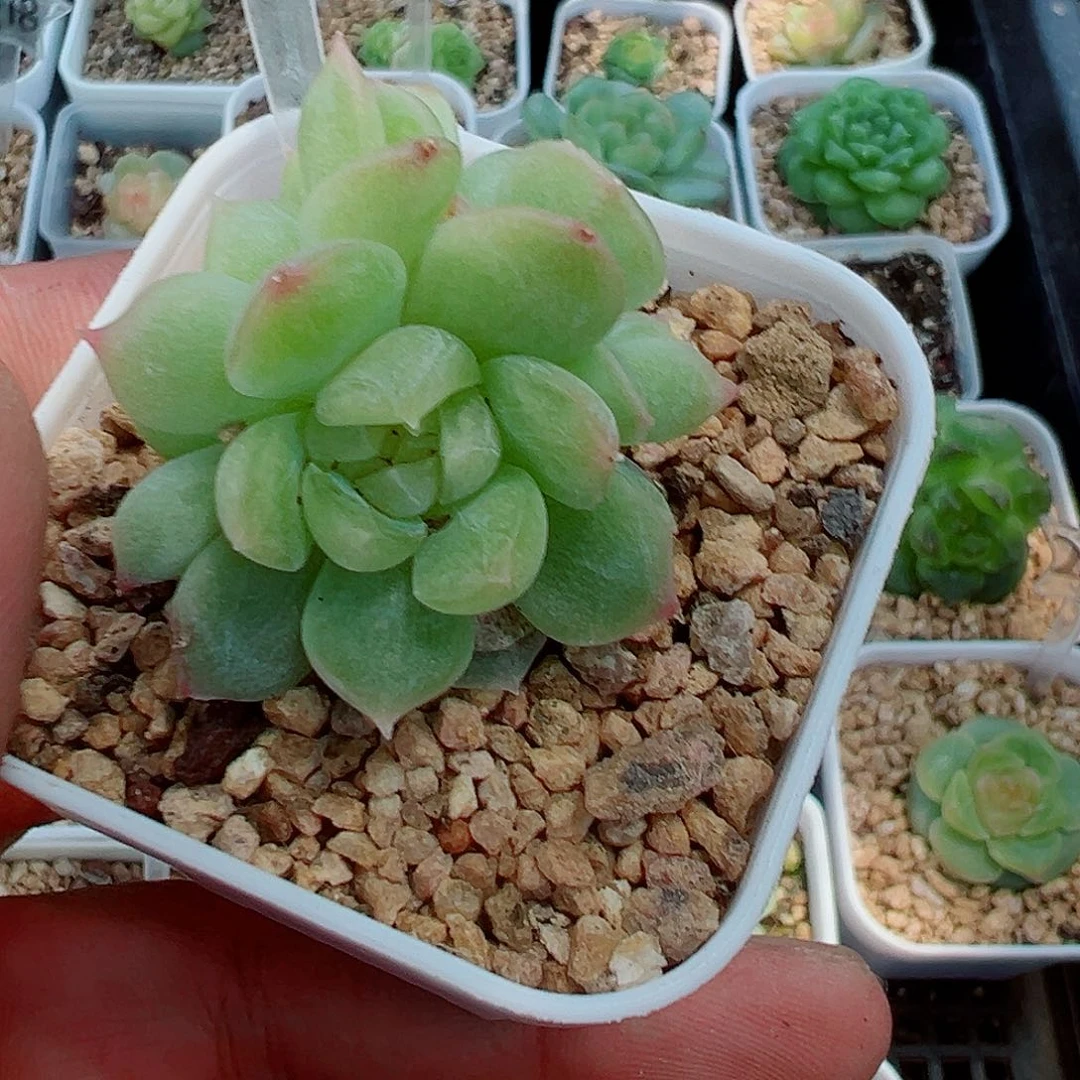 527哈哈哈哈哈哈哈哈