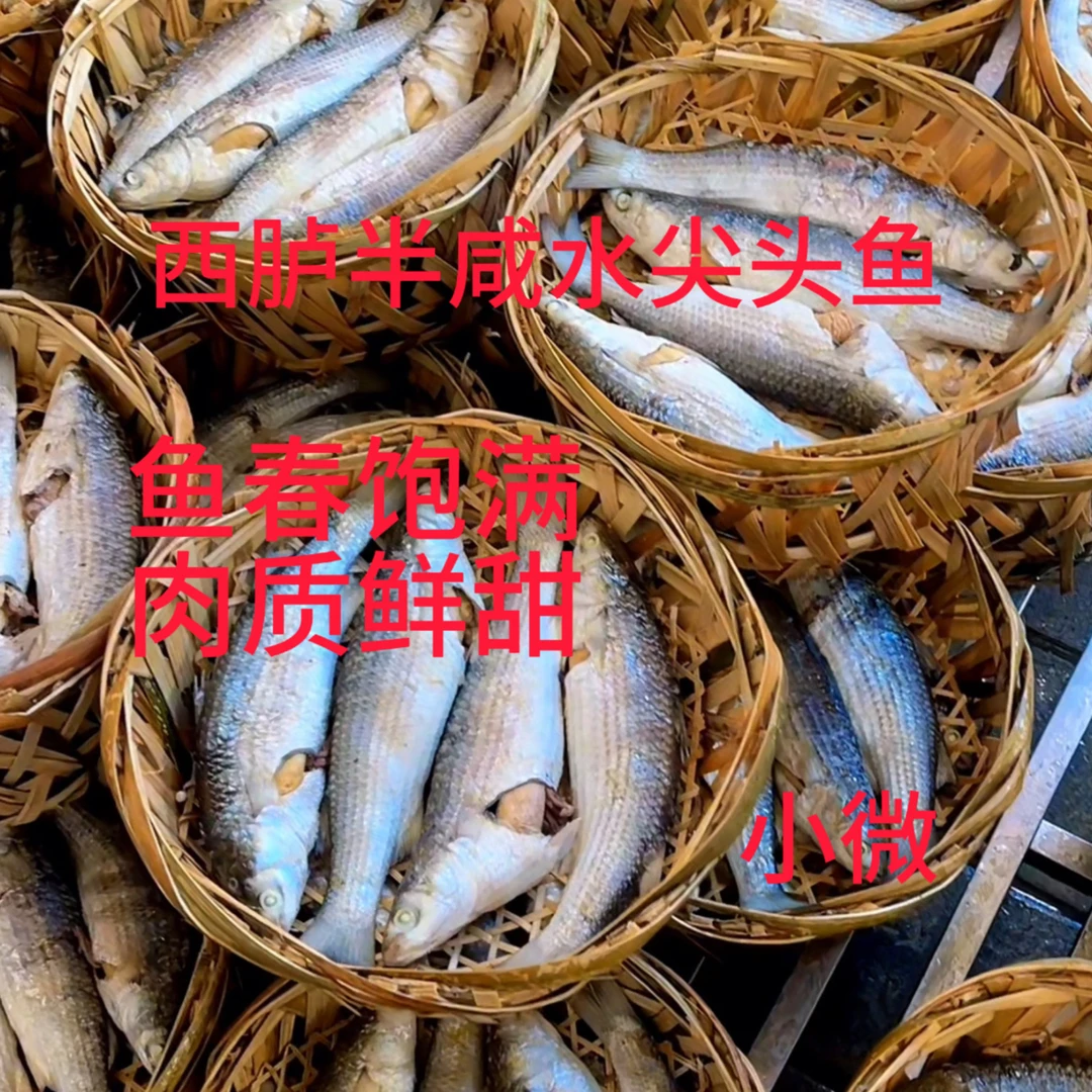 西胪半咸水尖头鱼饭2斤装4斤装小微西胪鱼饭