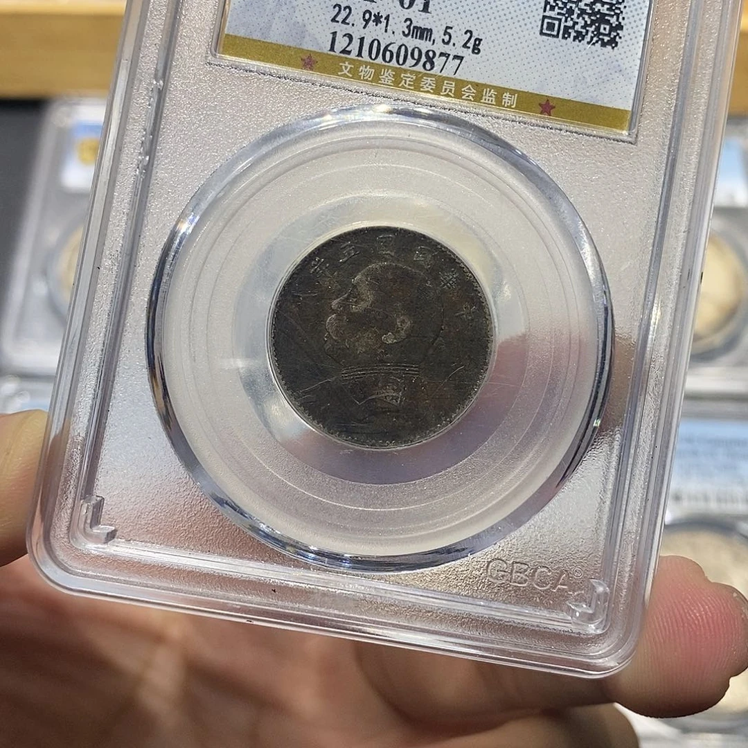 银原汁原味大头贰角9877