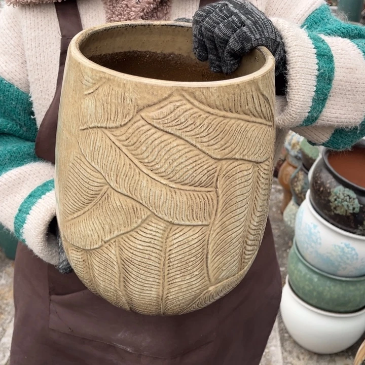 口20高31正品正品