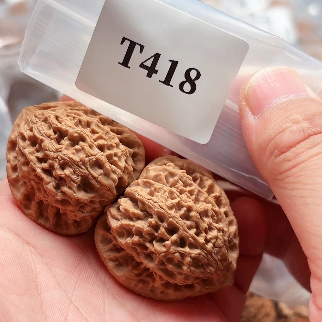 文玩核桃把件39延庆虎头王T418