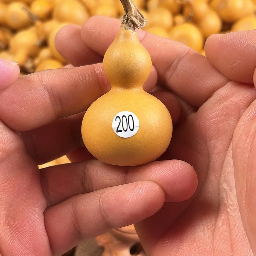 二葫芦葫芦葫芦葫芦200