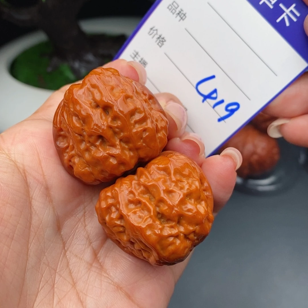 文玩核桃把件35蛤蟆419