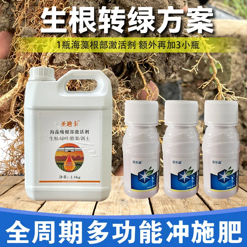 生根爆根套餐黄化转绿海藻酸根部激活剂大树小树瓜果蔬菜通用