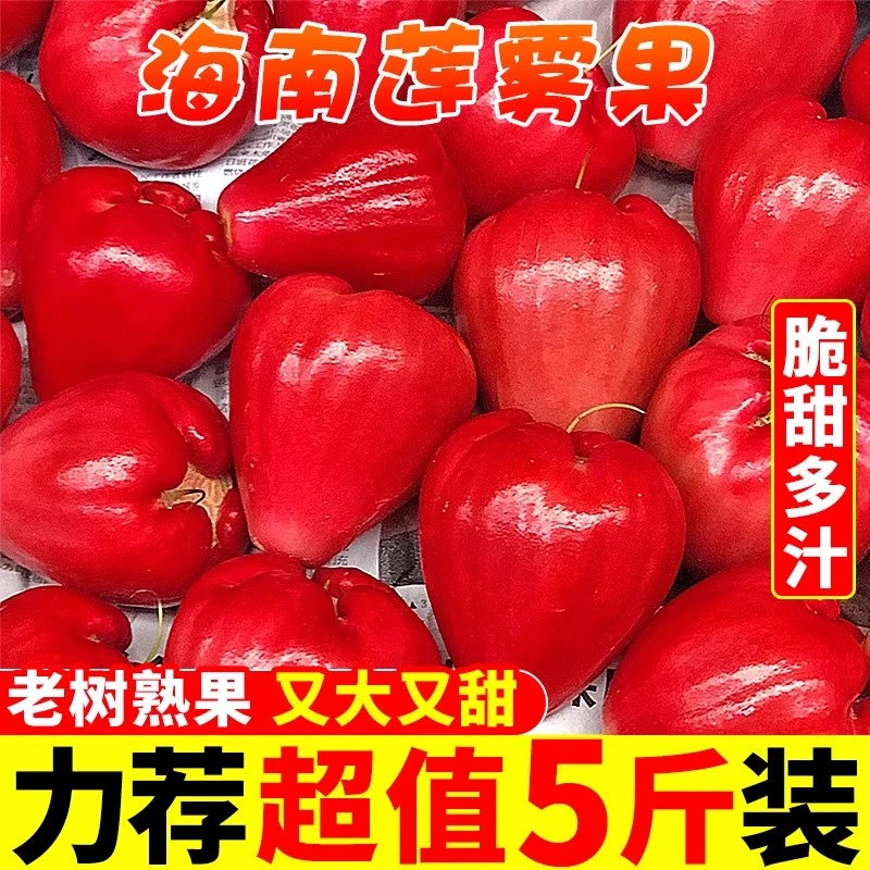 海南莲雾果新鲜水果5斤红宝石当季连雾非黑金刚莲雾整箱1-5斤包邮