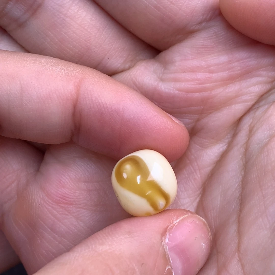 琥珀未镶嵌裸石蜜蜡12