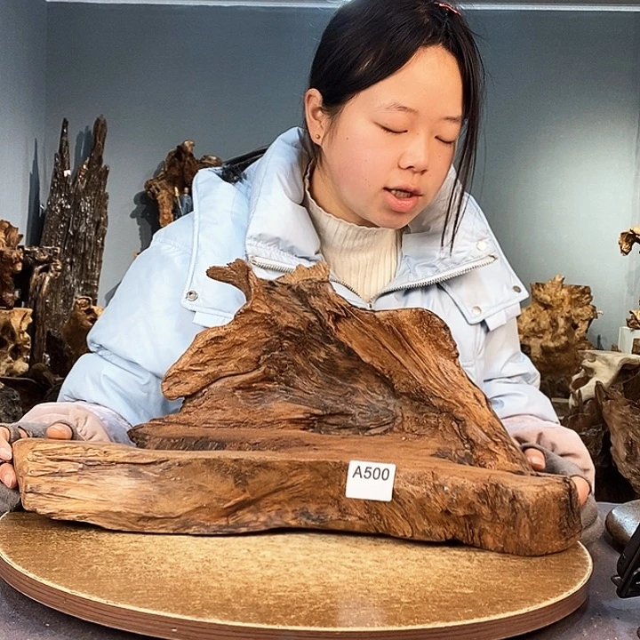茶盏清****耳500株木的随行的根艺