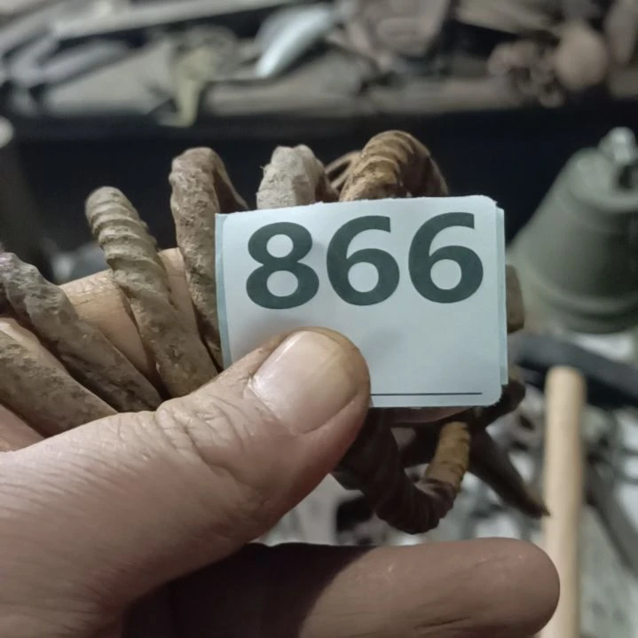 用***8门环双耳的六个哦