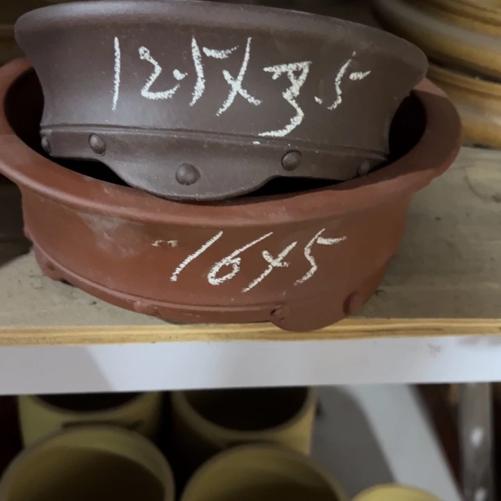 呜呜呜太好看太好看太好看花