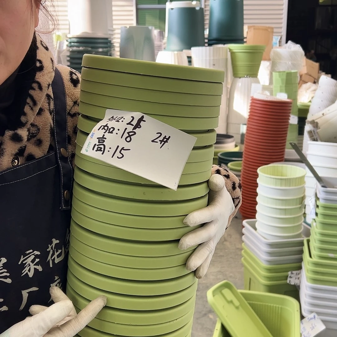 瑕疵球根盆2#果绿10个无托