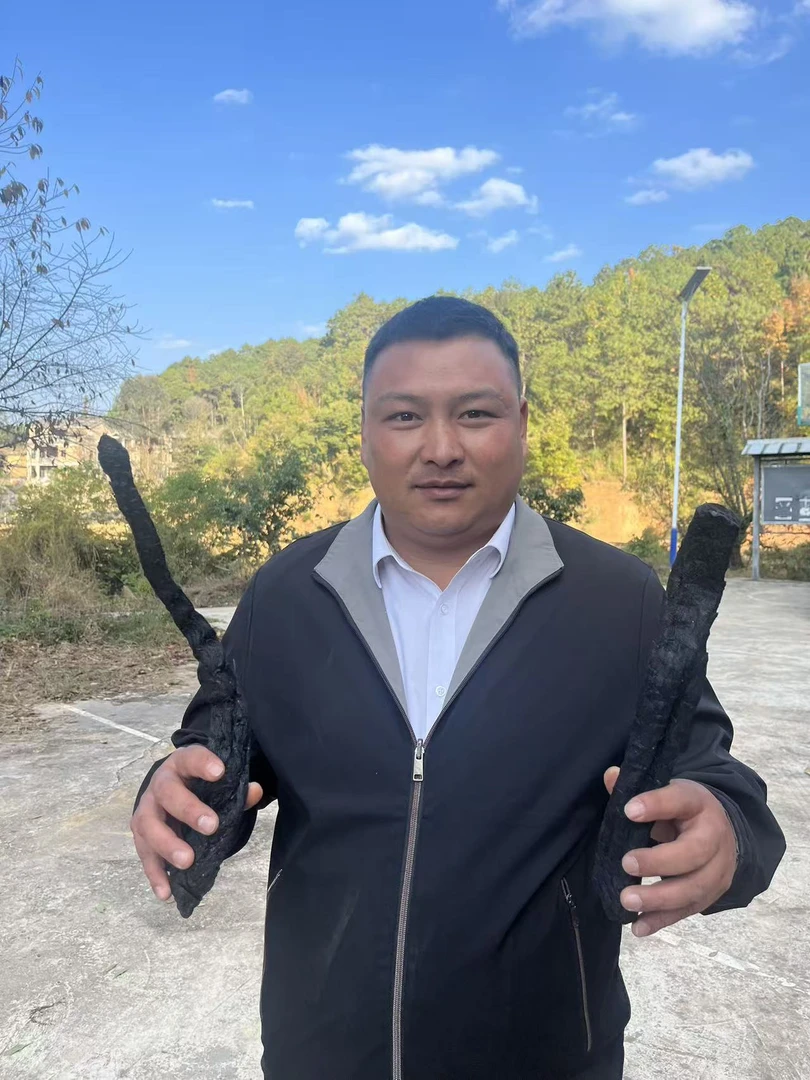 阿拉善特产 苁蓉 下山货 小蒲推荐