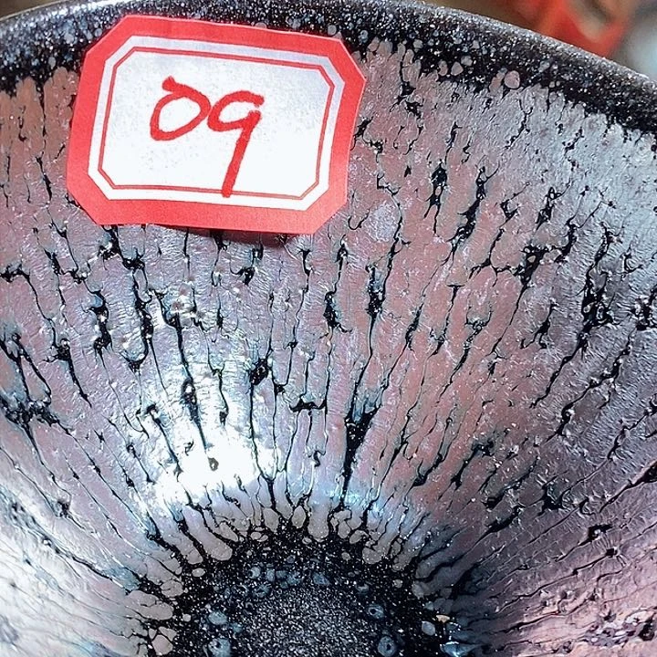 茶盏木**迷通天6666666666